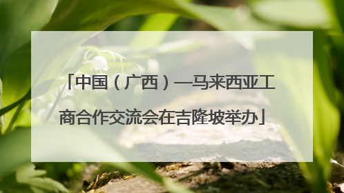 中国（广西）—马来西亚工商合作交流会在吉隆坡举办
