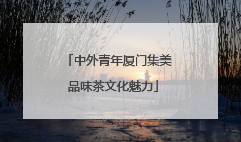 中外青年厦门集美品味茶文化魅力
