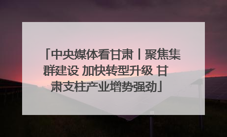 中央媒体看甘肃丨聚焦集群建设 加快转型升级 甘肃支柱产业增势强劲