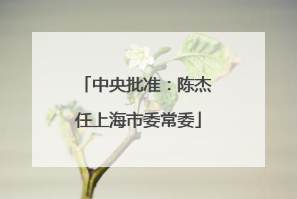 中央批准：陈杰任上海市委常委