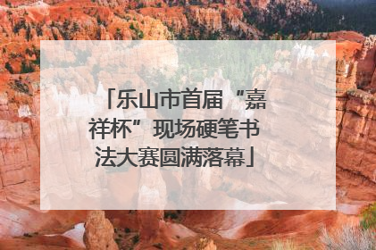 乐山市首届“嘉祥杯”现场硬笔书法大赛圆满落幕