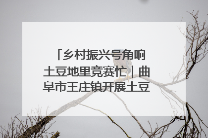 乡村振兴号角响 土豆地里竞赛忙｜曲阜市王庄镇开展土豆收获劳动竞赛