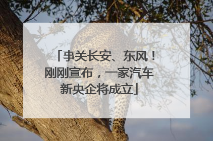 事关长安、东风！刚刚宣布，一家汽车新央企将成立