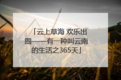 云上草海 欢乐出圈——有一种叫云南的生活之365天