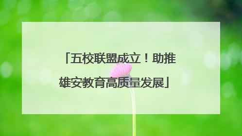 五校联盟成立！助推雄安教育高质量发展