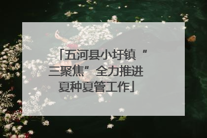五河县小圩镇“三聚焦”全力推进夏种夏管工作