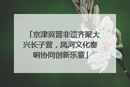 京津冀晋非遗齐聚大兴长子营，凤河文化奏响协同创新乐章