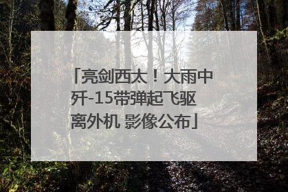 亮剑西太！大雨中歼-15带弹起飞驱离外机 影像公布