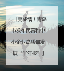 亮成绩！青岛市发布民营和中小企业高质量发展“半年报”