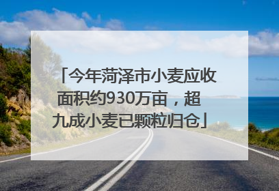 今年菏泽市小麦应收面积约930万亩，超九成小麦已颗粒归仓