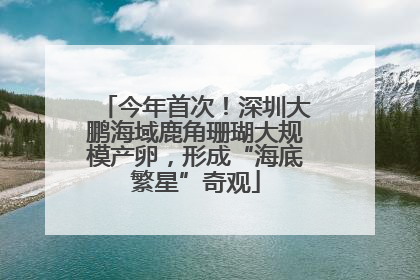 今年首次！深圳大鹏海域鹿角珊瑚大规模产卵，形成“海底繁星”奇观