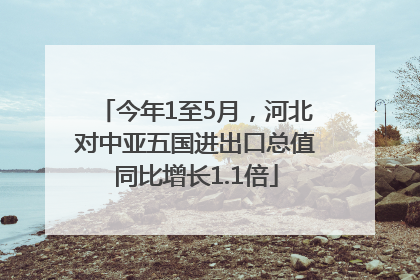 今年1至5月，河北对中亚五国进出口总值同比增长1.1倍