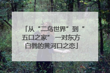 从“二鸟世界”到“五口之家” 一对东方白鹳的黄河口之恋