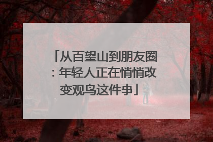 从百望山到朋友圈：年轻人正在悄悄改变观鸟这件事
