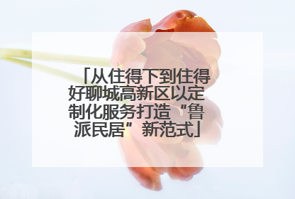 从住得下到住得好聊城高新区以定制化服务打造“鲁派民居”新范式