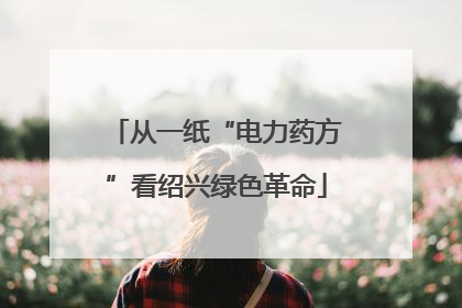 从一纸“电力药方”看绍兴绿色革命