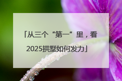 从三个“第一”里，看2025拱墅如何发力