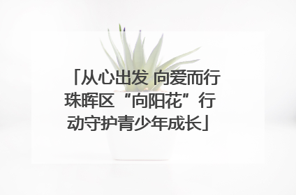 从心出发 向爱而行 珠晖区“向阳花”行动守护青少年成长
