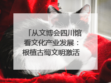 从文博会四川馆看文化产业发展：根植古蜀文明激活创新基因｜文博向“新”