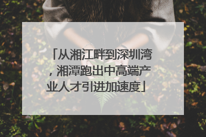 从湘江畔到深圳湾，湘潭跑出中高端产业人才引进加速度