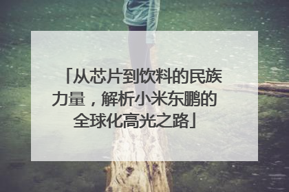 从芯片到饮料的民族力量，解析小米东鹏的全球化高光之路