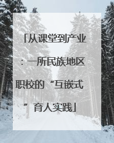 从课堂到产业：一所民族地区职校的“互嵌式”育人实践