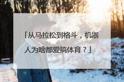 从马拉松到格斗，机器人为啥都爱搞体育？