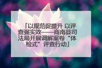 以规范促提升 以评查强实效——商南县司法局开展调解案卷“体检式”评查行动