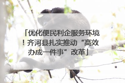 优化便民利企服务环境！齐河县扎实推动“高效办成一件事”改革