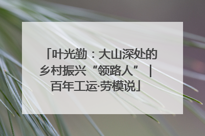 叶光勤：大山深处的乡村振兴“领路人”｜百年工运·劳模说