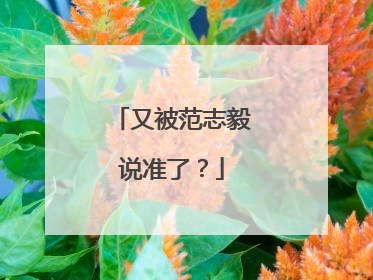 又被范志毅说准了？