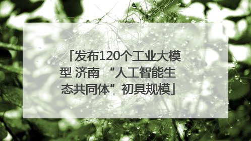 发布120个工业大模型 济南 “人工智能生态共同体”初具规模