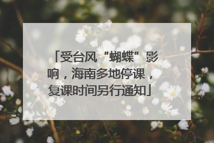 受台风“蝴蝶”影响，海南多地停课，复课时间另行通知