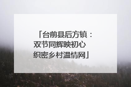 台前县后方镇：双节同辉映初心 织密乡村温情网