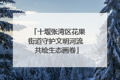 十堰张湾区花果街道守护文明河流 共绘生态画卷