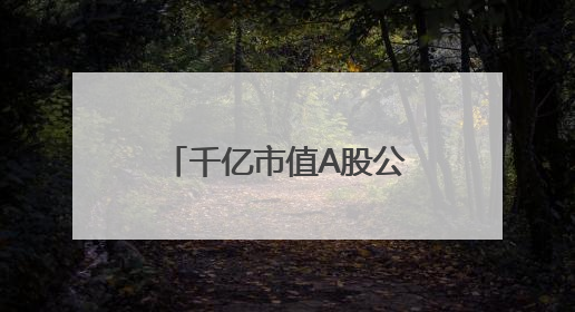 千亿市值A股公司宣布：续聘雷军为名誉董事长，不领取薪酬！