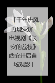 千年唐风再现荧屏 电视剧《长安的荔枝》西安开启首场观影
