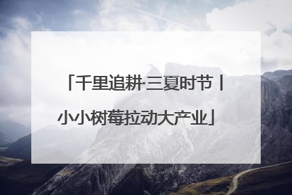 千里追耕·三夏时节丨小小树莓拉动大产业