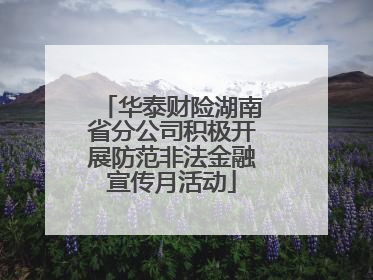 华泰财险湖南省分公司积极开展防范非法金融宣传月活动