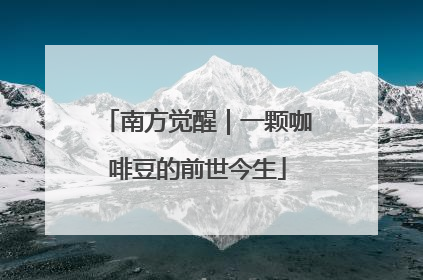 南方觉醒｜一颗咖啡豆的前世今生