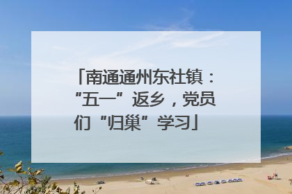 南通通州东社镇：“五一”返乡，党员们“归巢”学习