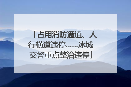 占用消防通道、人行横道违停……冰城交警重点整治违停