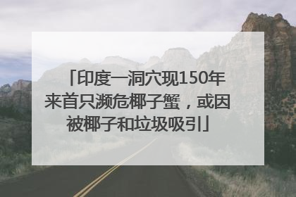 印度一洞穴现150年来首只濒危椰子蟹，或因被椰子和垃圾吸引