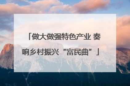 做大做强特色产业 奏响乡村振兴“富民曲”