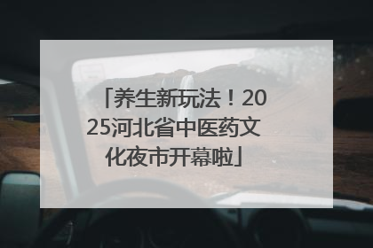 养生新玩法！2025河北省中医药文化夜市开幕啦