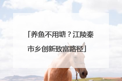 养鱼不用塘？江陵秦市乡创新致富路径