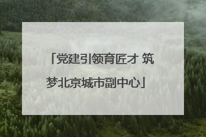党建引领育匠才 筑梦北京城市副中心