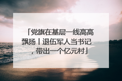 党旗在基层一线高高飘扬丨退伍军人当书记，带出一个亿元村