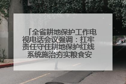 全省耕地保护工作电视电话会议强调：扛牢责任守住耕地保护红线 系统施治夯实粮食安全根基 王宁作出批示 王予波出席并讲话