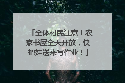 全体村民注意！农家书屋全天开放，快把娃送来写作业！